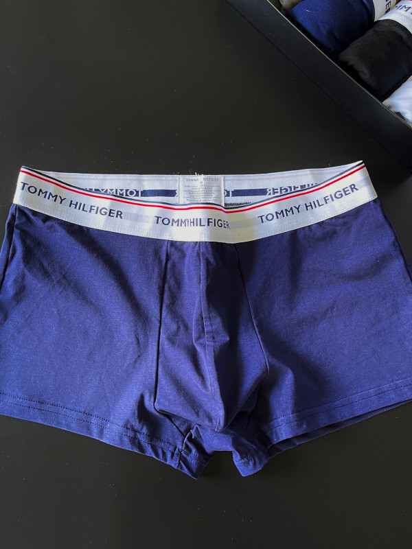 Комплект чоловічих боксерів Tommy Hilfiger 365, 4шт в коробці